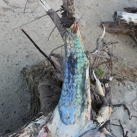 Subklew Sellin (Rugen)