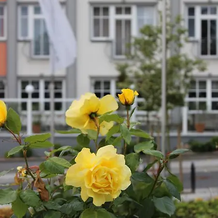 Subklew Sellin (Rugen)